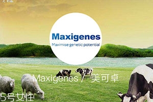 藍(lán)胖子奶粉適合什么人？成人可以喝嗎？