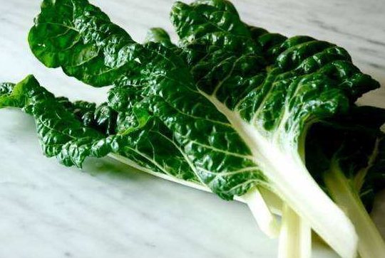 牛皮菜是發(fā)物嗎？牛皮菜有毒嗎