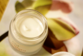 fresh睡蓮面霜孕婦可以用嗎？孕婦可用