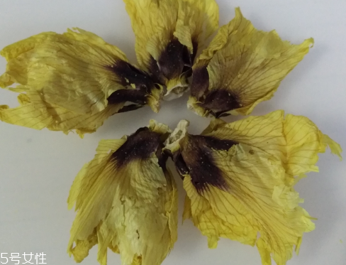 秋葵花怎樣曬干？自然風(fēng)干最佳