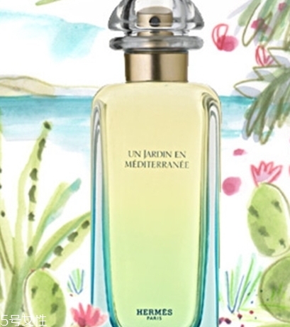 dior迪奧香水和愛馬仕香水哪個(gè)好？