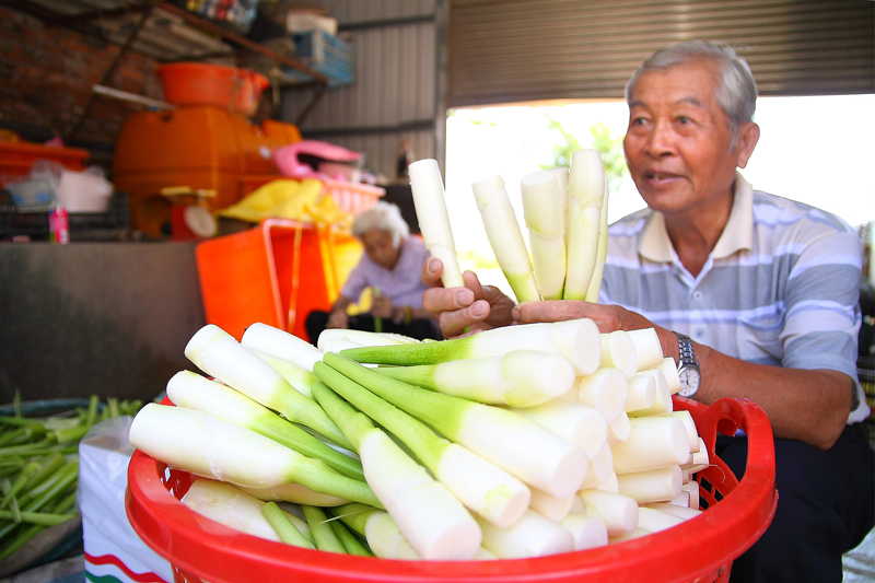 茭白怎么剝開 茭白這樣保存與挑選 茭白怎么剝開 茭白這樣保存與挑選