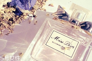 dior迪奧香水和范思哲香水哪個(gè)好？