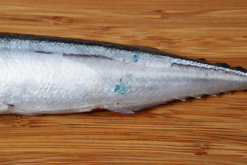 秋刀魚怎么處理？秋刀魚怎么挑選