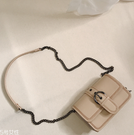 迷你包包什么款式好看？時(shí)髦精都在拎它