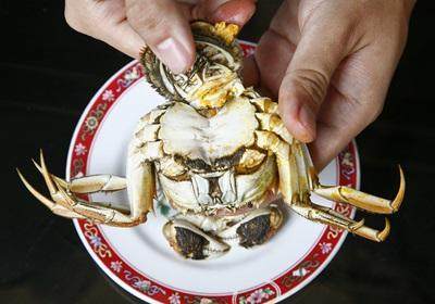 陽澄湖大閘蟹怎么吃？食陽澄湖大閘蟹注意事項(xiàng)