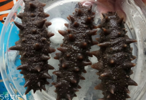 干海參怎么泡發(fā) 泡發(fā)技巧 干海參怎么泡發(fā) 泡發(fā)技巧