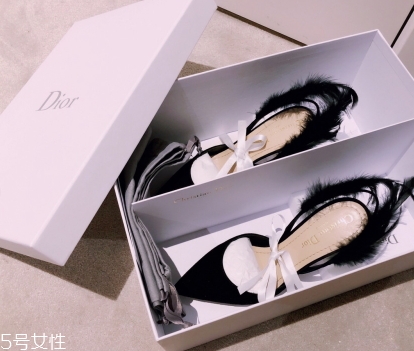 dior高跟鞋多少錢？演繹法式優(yōu)雅