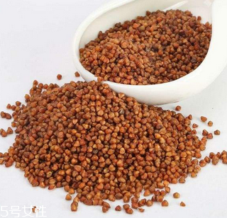 黑苦蕎茶上火嗎？蒸煮法苦蕎茶不上火