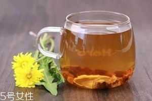 蒲公英茶可以天天喝嗎？不要長期喝
