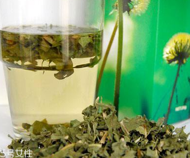 蒲公英茶可以天天喝嗎？不要長期喝