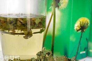 蒲公英茶哪些人不宜喝？這三種人要避開