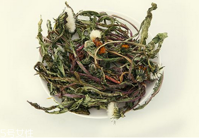 蒲公英茶怎么做？蒲公英茶做法超簡單
