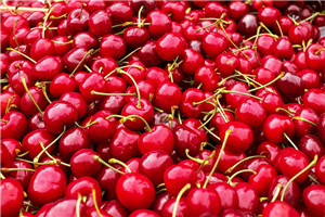 櫻桃怎么挑選 選擇結(jié)實(shí)的就對(duì)了