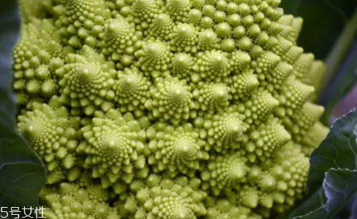 花菜在冰箱能放幾天？不要超過7天