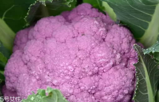 花菜在冰箱能放幾天？不要超過7天