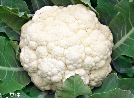 花菜在冰箱能放幾天？不要超過7天