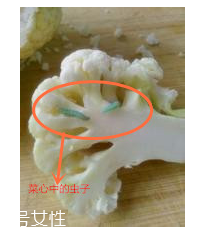 花菜怎么洗才干凈？一定要把蟲子洗掉