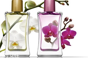 sisley希思黎香水哪款好用？