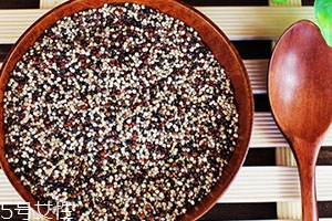 藜麥可以蒸米飯嗎？藜麥蒸米飯要泡嗎？