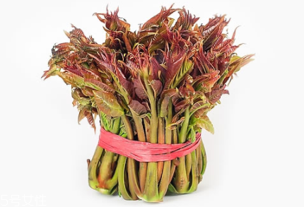 香椿怎樣長期保存？這樣做可儲存一年