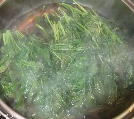 香椿涼拌怎么做好吃？超級簡單的3道開胃菜