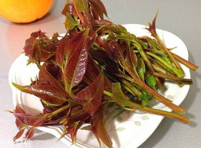 香椿吃了上火嗎？怕上火吃涼拌香椿