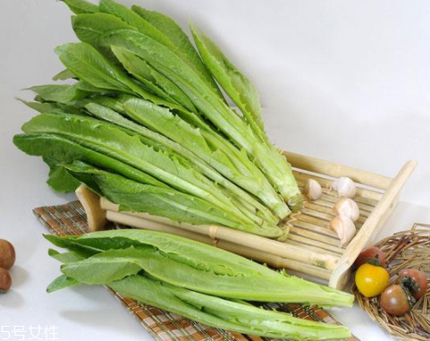 油麥菜怎么涼拌好吃？加點麻醬調(diào)味