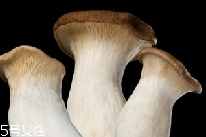 杏鮑菇怎么洗才干凈？鹽水泡泡輕松去污