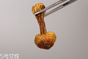 姬松茸多少錢一斤？