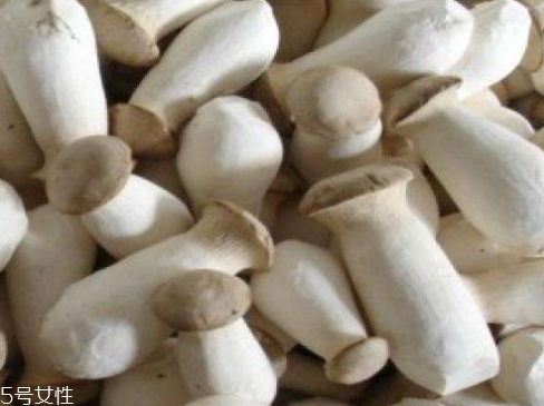 杏鮑菇生酶了能吃嗎？長毛了也能吃