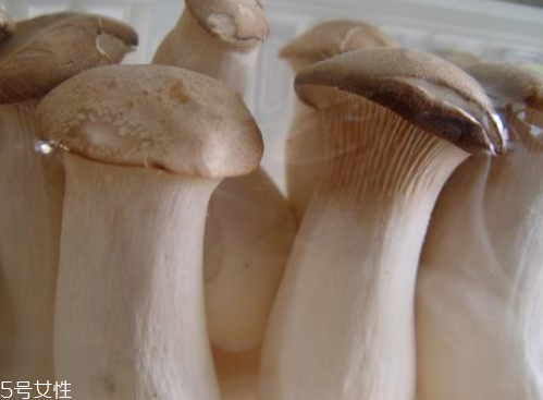 杏鮑菇生酶了能吃嗎？長毛了也能吃