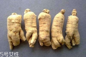 西洋參會(huì)回奶嗎？不用擔(dān)心這個(gè)問題