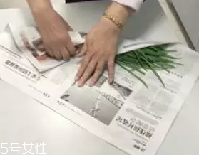 韭菜怎么保存時間長？真空保存最持久