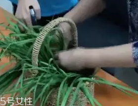 韭菜怎么保存時間長？真空保存最持久