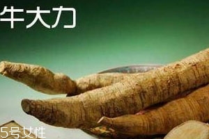 牛大力是寒性還是熱性 宜忌人群