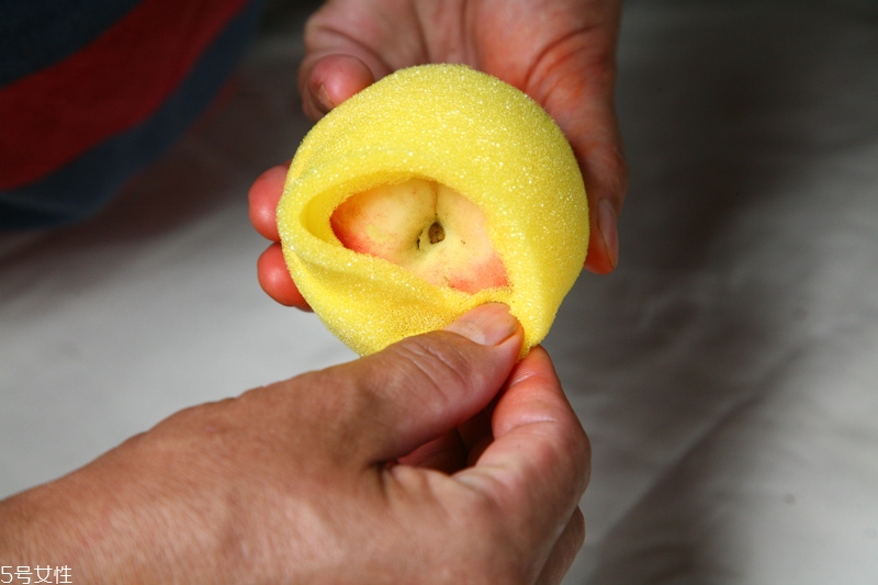 水蜜桃怎么保存時(shí)間長(zhǎng) 水蜜桃的保存方法