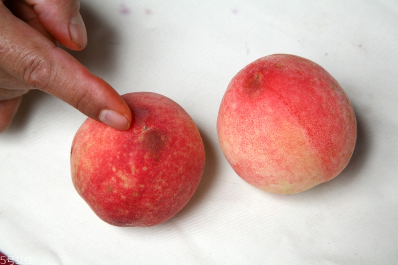 水蜜桃怎么保存時(shí)間長(zhǎng) 水蜜桃的保存方法