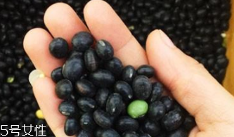 黑豆泡醋能放多久？必須半年內(nèi)吃完