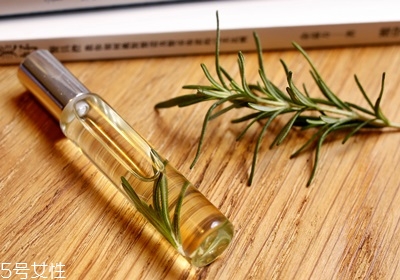 西餐常用香草有哪些 西餐用的香草介紹 西餐常用香草有哪些 西餐用的香草介紹