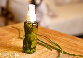 西餐常用香草有哪些 西餐用的香草介紹 西餐常用香草有哪些 西餐用的香草介紹