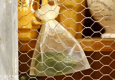 西餐常用香草有哪些 西餐用的香草介紹 西餐常用香草有哪些 西餐用的香草介紹