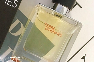 愛馬仕大地香水好聞嗎？香味濃烈卻清新