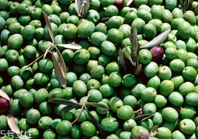 橄欖油怎么保存 橄欖油保存溫度 橄欖油怎么保存 橄欖油保存溫度