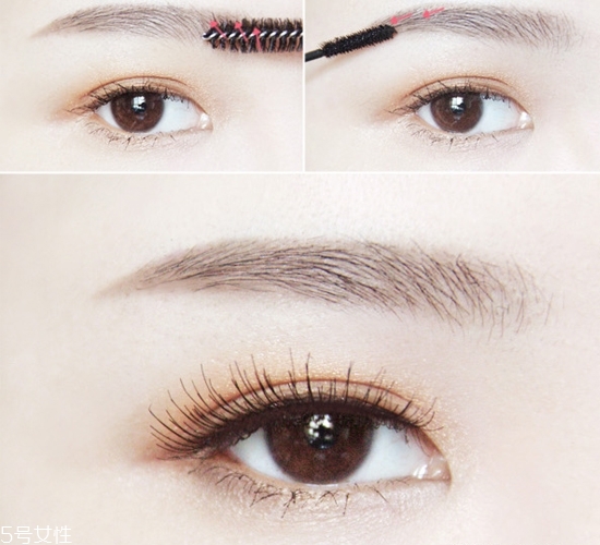 新手怎樣畫(huà)眉毛自然又好看 五種實(shí)用眉毛畫(huà)法 新手怎樣畫(huà)眉毛自然又好看 五種實(shí)用眉毛畫(huà)法