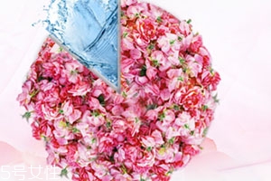 florihana中文叫什么？哪國的品牌