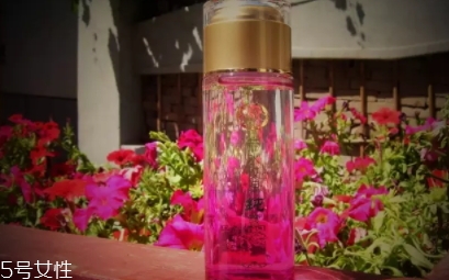 苦水玫瑰多少錢一斤？