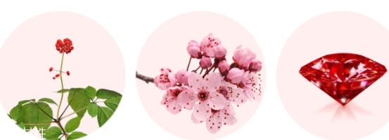 merbliss婚紗紅寶石面膜多少錢？