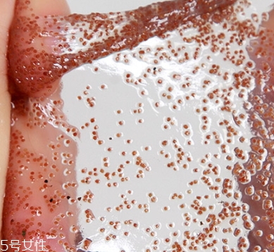 半畝花田海藻面膜怎么樣？