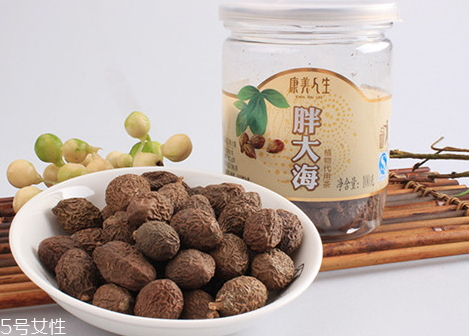 胖大?？梢耘輲状?三五次即可